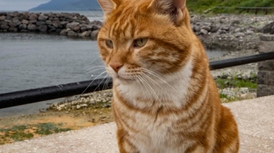 Фото из архива Клуба