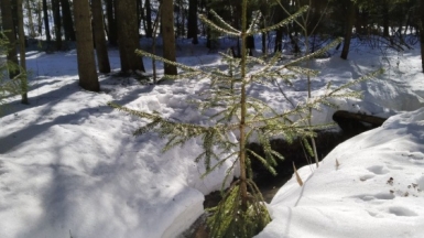 Фото нашего гида Александра Чудновского