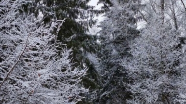 Фото Галины Чудновской