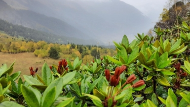 Фото наших Странников