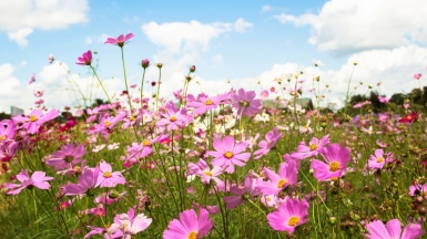 ru.depositphotos.com