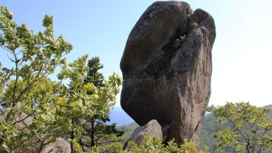 Фото Вероники Кузенковой
