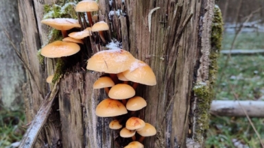 Фото наших Странников