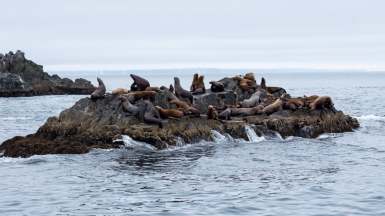 Фото из архива Клуба