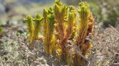 Фото из архива Клуба