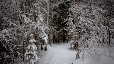 Фото нашего гида Михаила Верёвченко