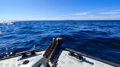 Фото нашего гида Галины Шелудько