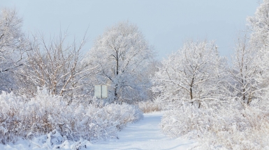 Фото: Tengyart, unsplash.com