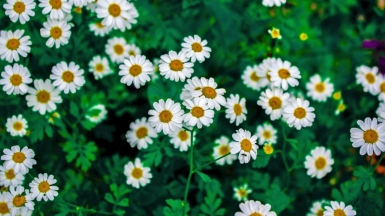 Фото: aisvri on unsplash