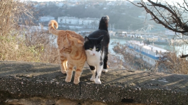 Фото наших Странников