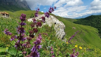 Фото наших Странников
