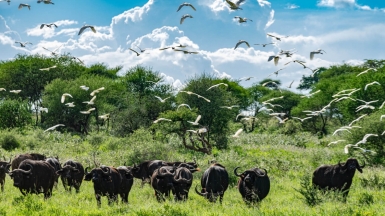 Фото: Ninara31, visualhunt.com