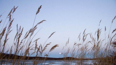 Фото: Магадан,  visualhunt.com