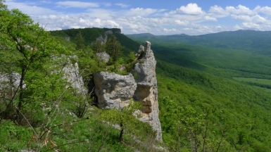 Фото нашего гида Елены Кузура