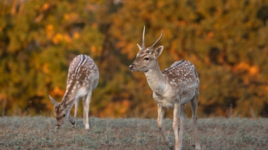 Фото нашего гида Михаила Верёвченко