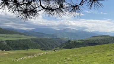 Фото нашего гида Марии Тергоевой