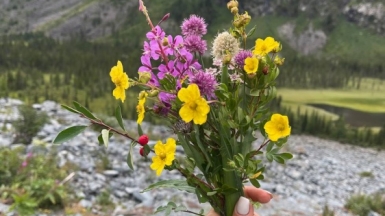 Фото наших Странников