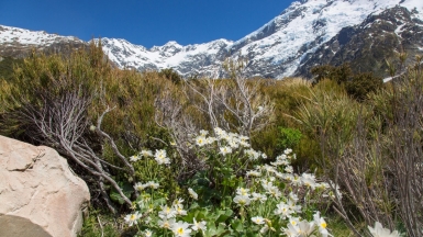 Фото нашей Странницы Татьяны Руновой