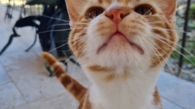 Фото нашей Странницы Полины Пономарёвой