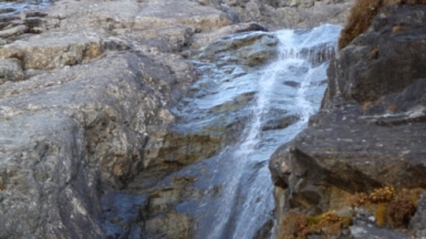 Фото Ирины Пшестанчик