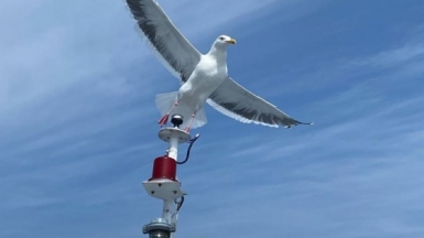 Фото из архива Клуба