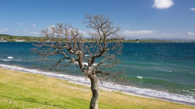 Таупо. Фото нашей Странницы Татьяны Руновой