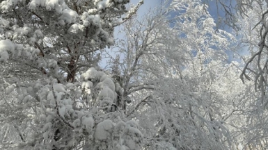 Фото наших Странников