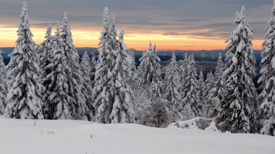 Фото: 02irina, depositphotos.com