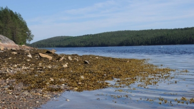 Фото нашего гида Алексея Петровского