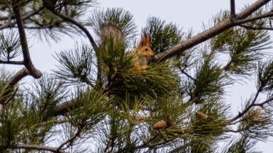Фото нашего Странника Романа Салманова