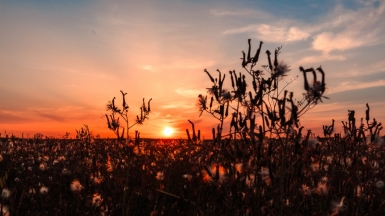 Фото: Anton Vakulenko on visualhunt