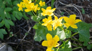 Фото: pohjolanpoluilla on VisualHunt