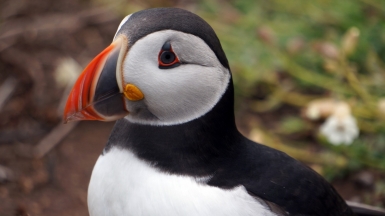 Фото: Lucy Green, unsplash.com