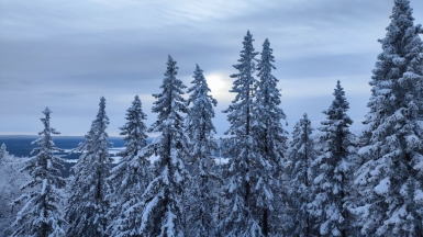 Фото наших Странников