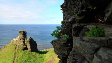 Фото из архива