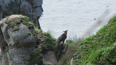 Фото наших партнёров