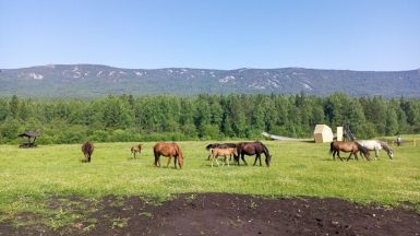 Фото нашей Странницы Надежды Маклаевой
