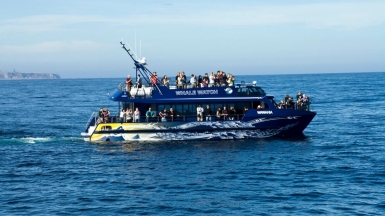 Фото: The Grey Panther on visualhunt