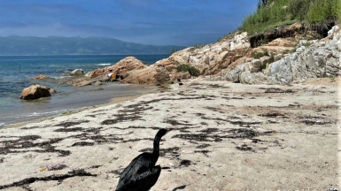 Фото из архива Клуба