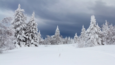 Фото: 02irina, depositphotos.com