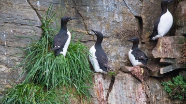 Фото из архива Клуба