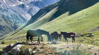 Фото наших Странников