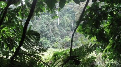 Фото: andresfib, visualhunt.com