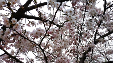 Фото нашего гида Лики Майстровой