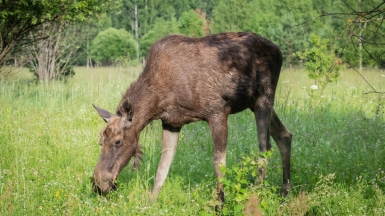 Фото нашего гида Михаила Верёвченко