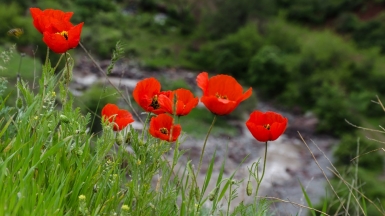 Фото: Жидков Анатолий
