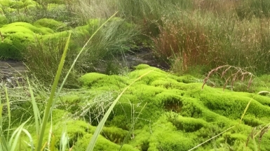 Фото наших Странников