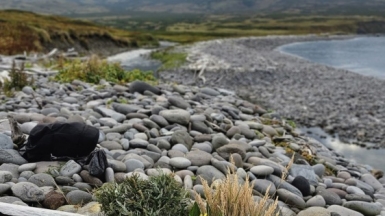 Фото нашей Странницы Анны Лазаренко