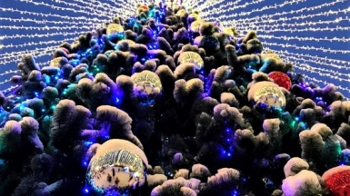 Фото из архива Клуба