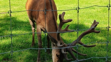 Фото нашего гида Сергея Кузура